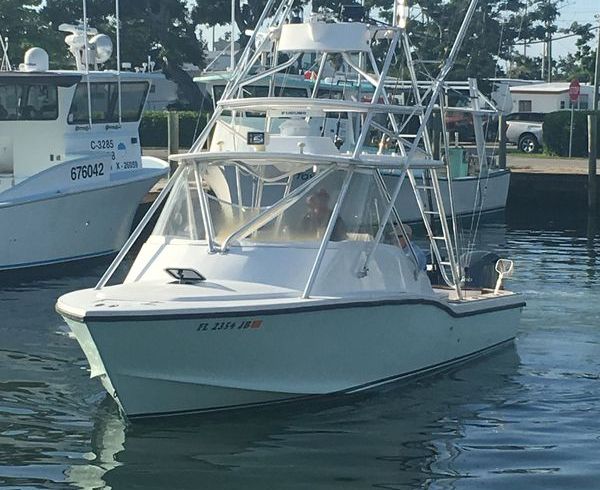 Ocean Master 31