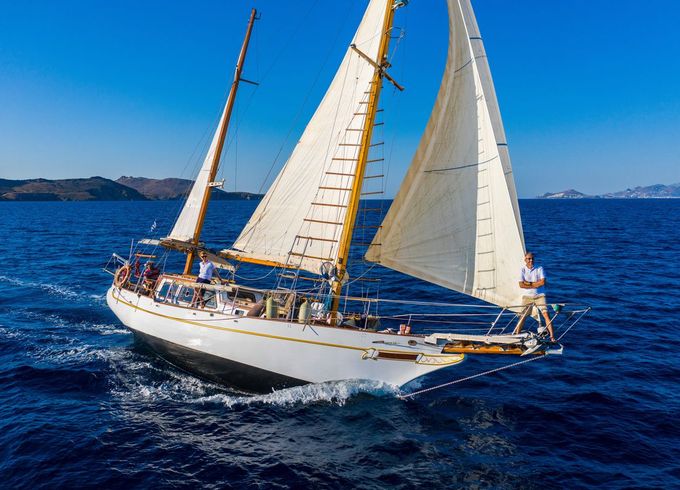 Traditional 46