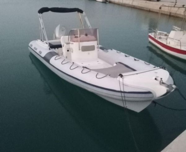 Beluga lomac 21