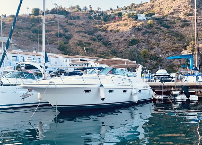 Cruisers Yachts 3375 ESPRIT