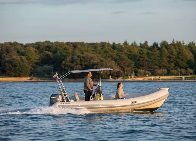 Stingher 550