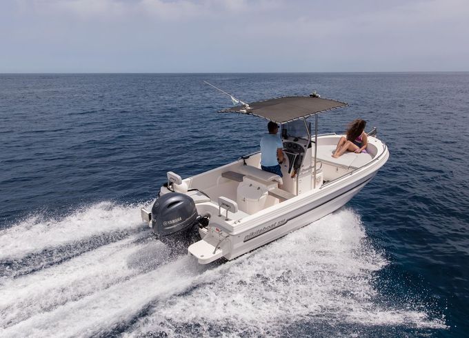 Nikita 550