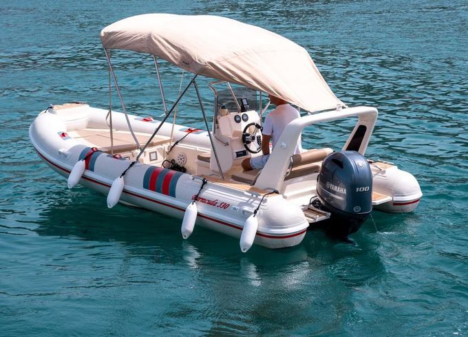 Barracuda 530