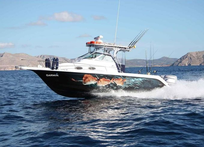 Proline Cabin 28