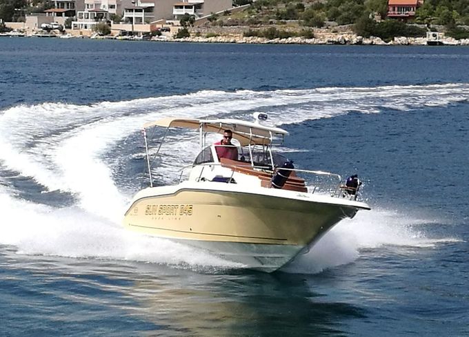 Sea Ray Sun Sport 845 deck line