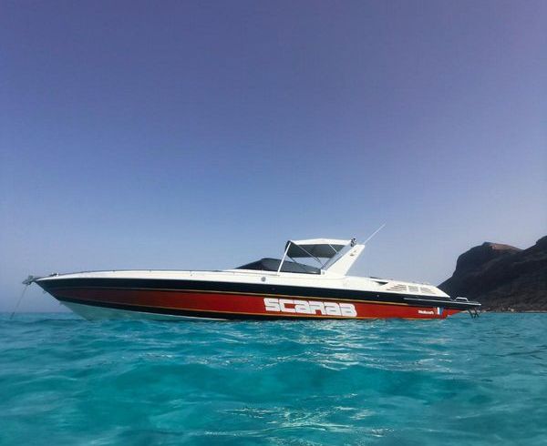 Wellcraft Scarab 31