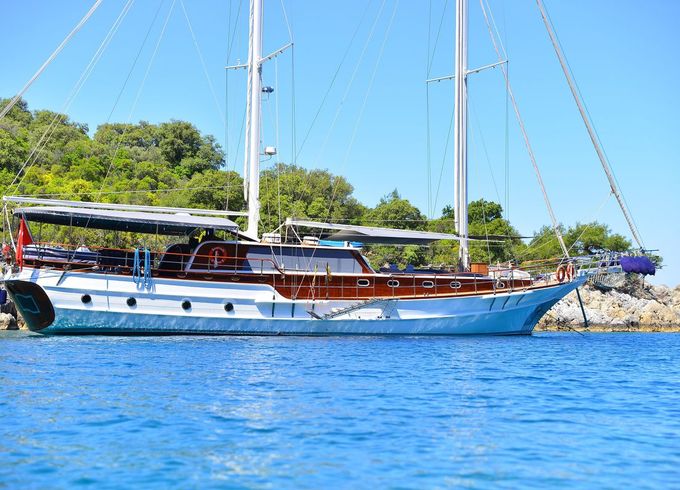 M/S ketçh