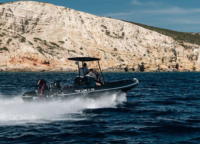 Topline C29