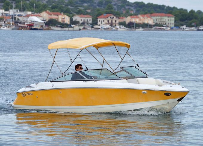 Cobalt 36
