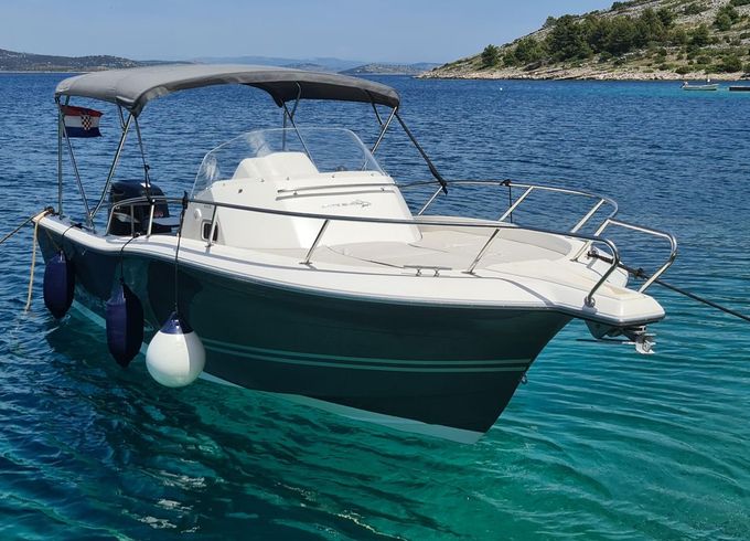 White Shark 228