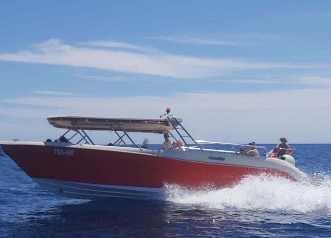 Enzo 35