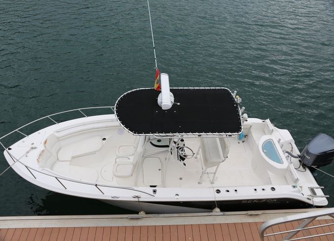 Sea Fox 256CC