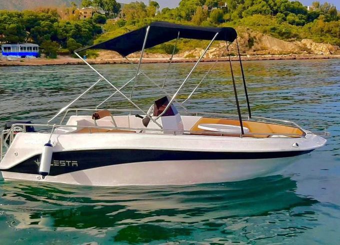 Alesta Marlin 460