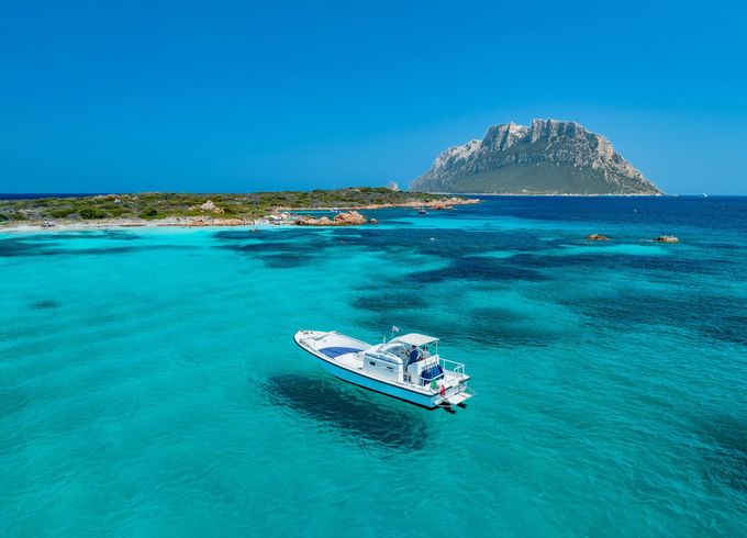 Speedboat Puma 33