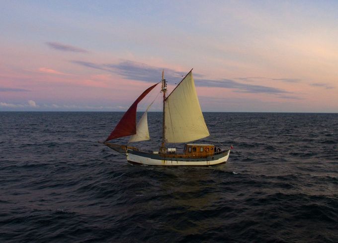 Traditional M/S 52