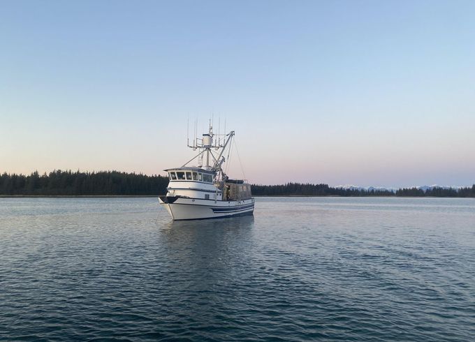 Hoquiam 50