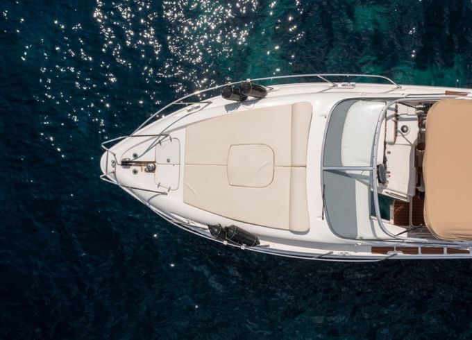 Sealine Ambassador
