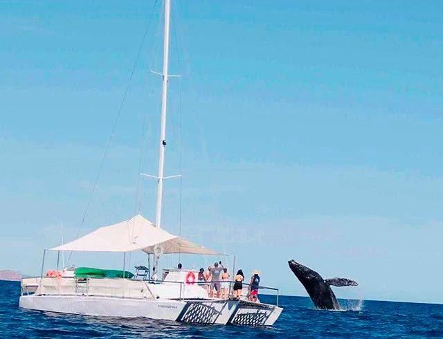 Trimaran 48 t