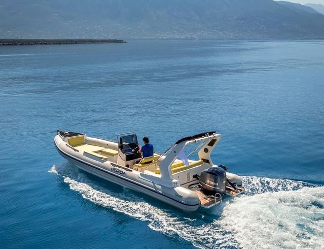 Predator Rib