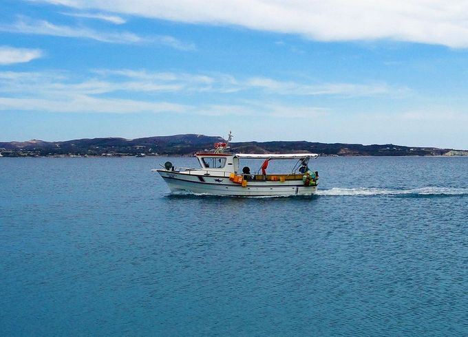 Saronic 9.90