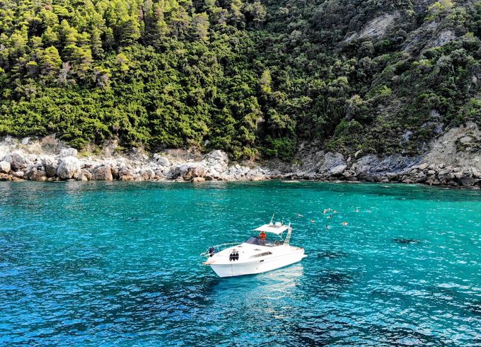 Bayliner Conquest 39
