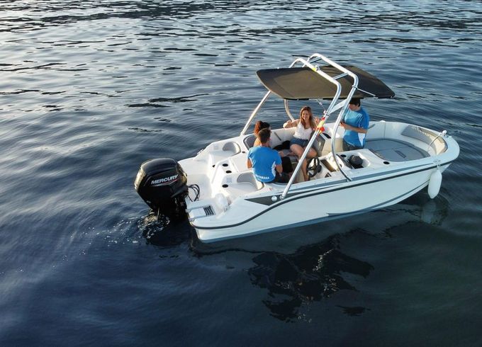 Bayliner M17