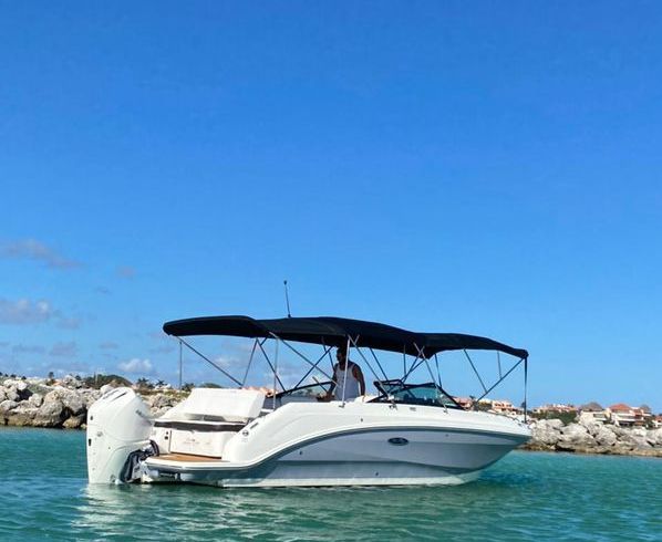 Sea Ray SDX 26