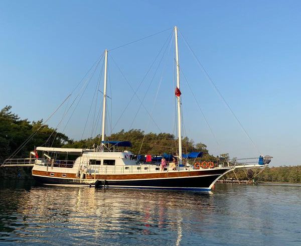M/S 2000