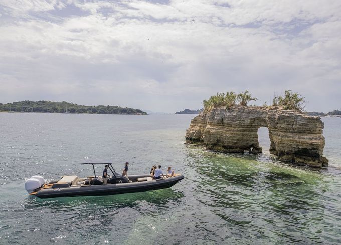 Viper Rib