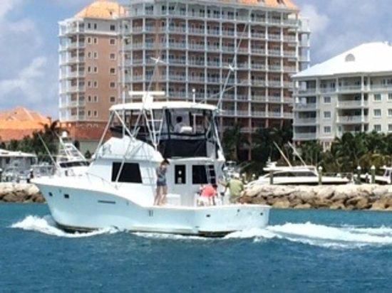 Hatteras Convertible