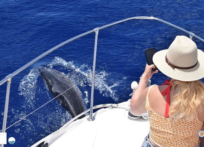 Bayliner Ciera 2355