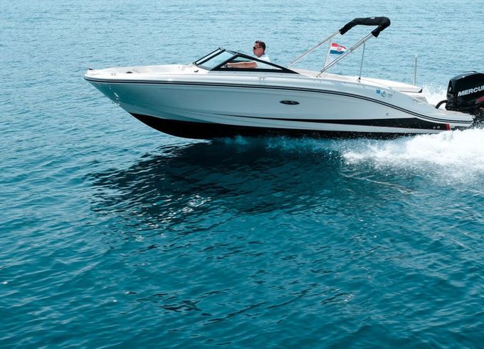 Sea Ray SPX 210 OB