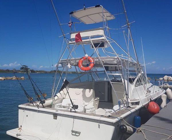 Trojan Yachts Open fishing