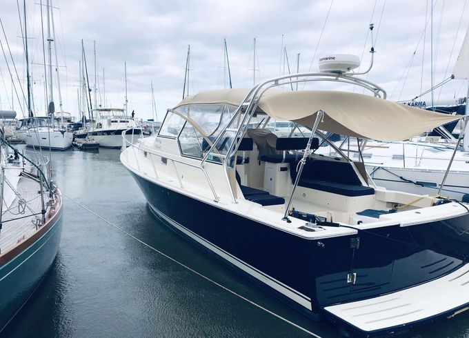 Mainship 34 Pilot