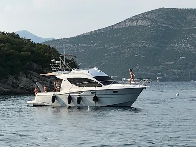 Sessa Dorado 32/36