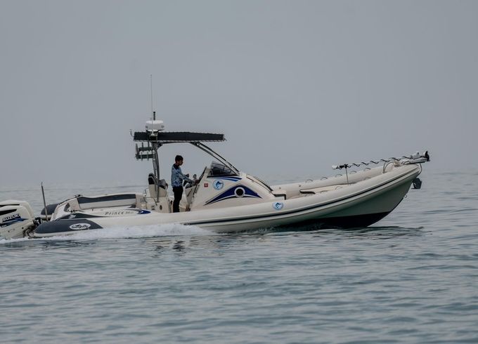 Prince 34