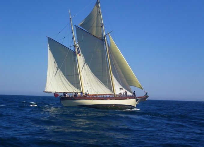 Traditional 79