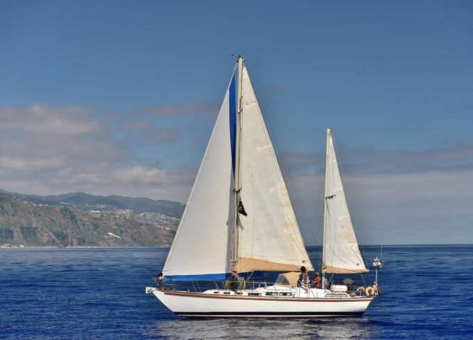 Bruce Roberts Mauritius 43