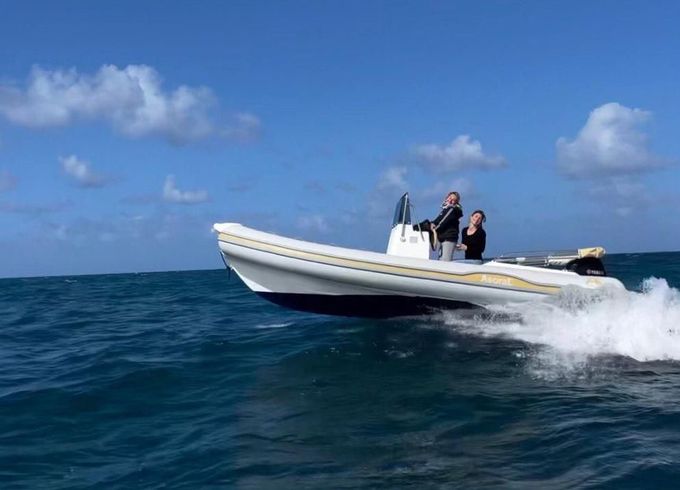 RIB AL100