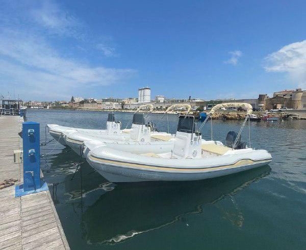 RIB AL100