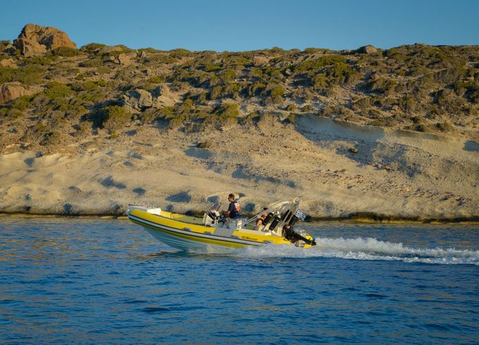 RIB 21