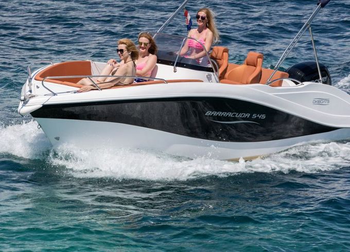 Barracuda 545