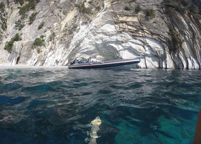 Outboards Rib
