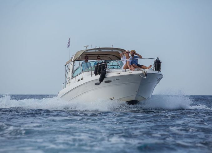 Sea Ray Sundancer 310
