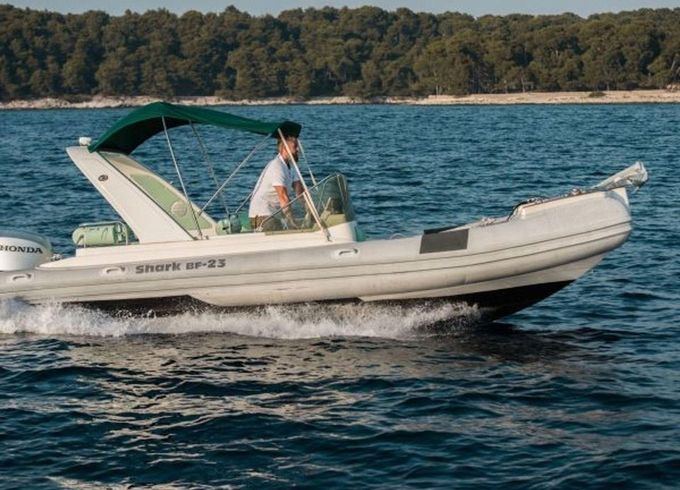 Grginic Shark 23