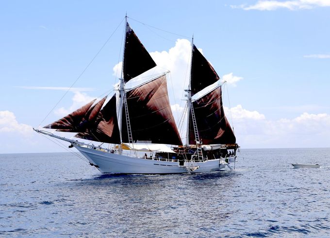 Phinisi Pinisi