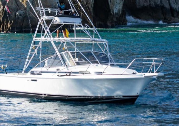 Blackfin 31
