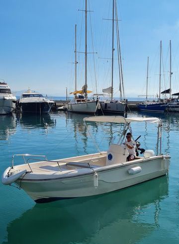 Nireus 550