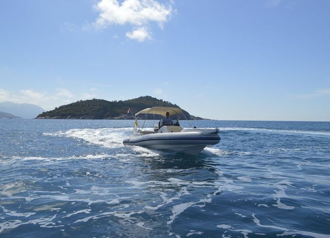Marlin 23