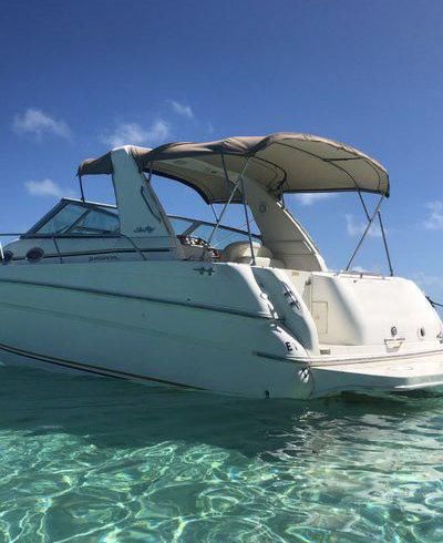 Sea Ray 290 SUNDANCER